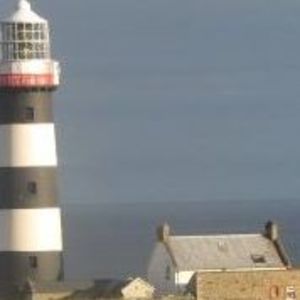 Meet your Posher, Pamela